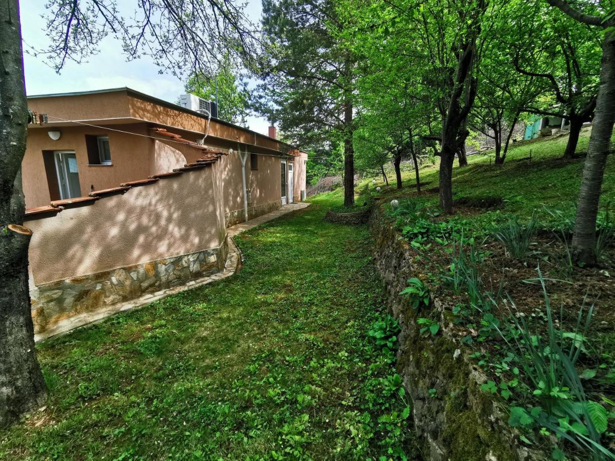 Villa Aqua Правец Екстер'єр фото